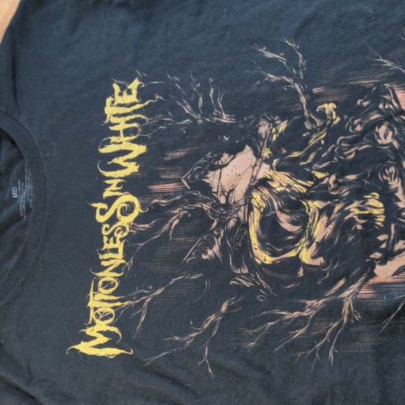 Band T - Picture 3 of 5